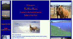 Desktop Screenshot of pauhana.com
